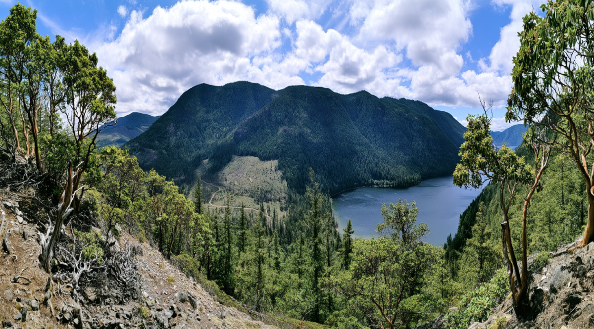 Cameron Lake