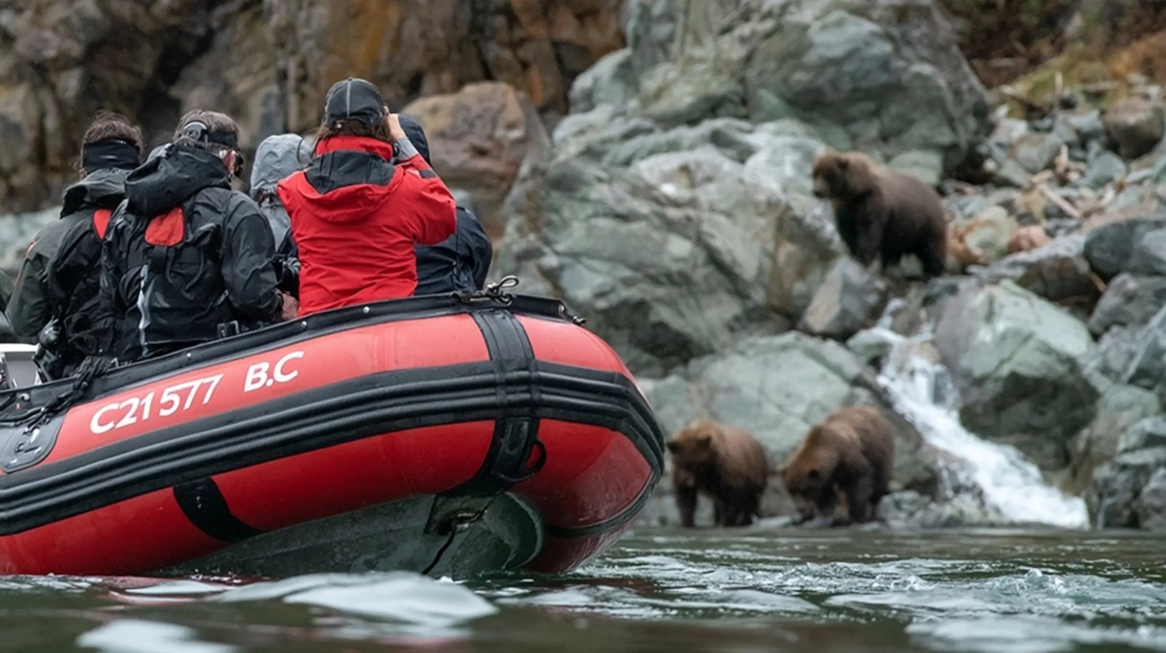 Vancouver Island Bear Watching Hotspots