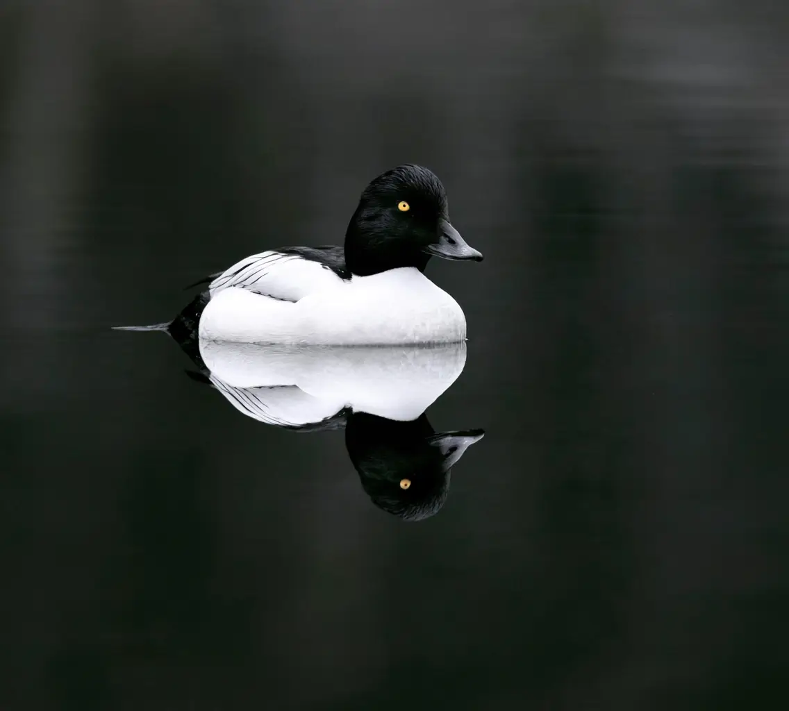 10 Best Birding Hotspots