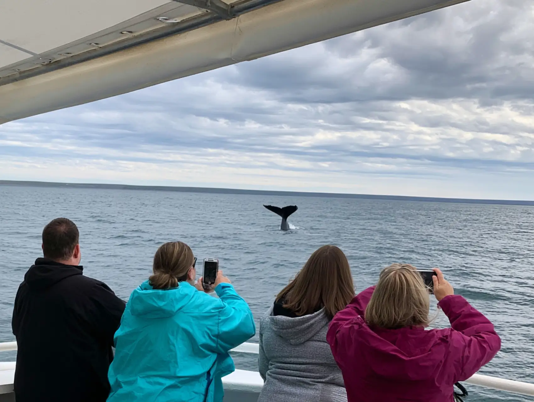 Gear Needed for Whale Watching