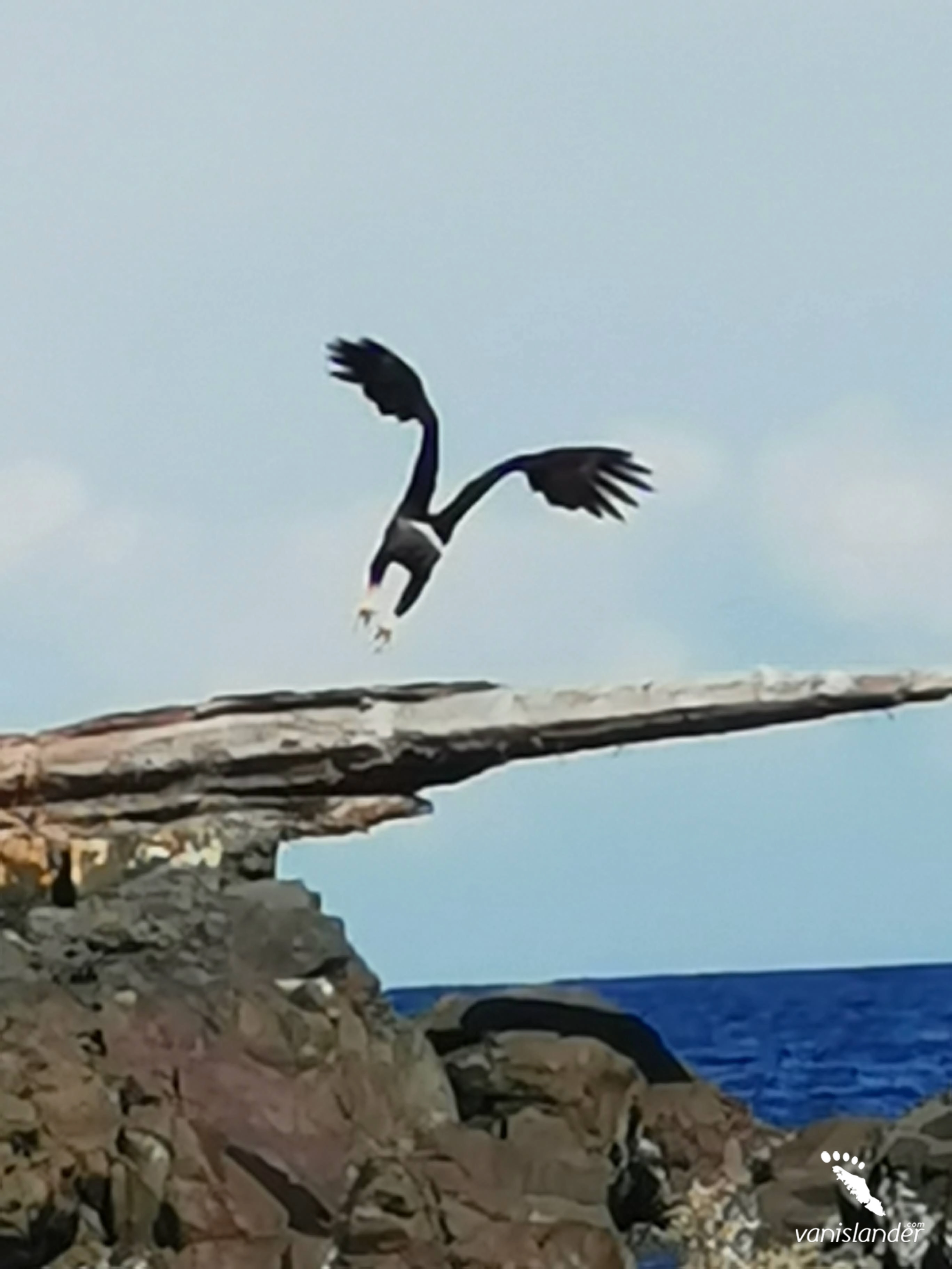Sea Lions & Eagles Adventure