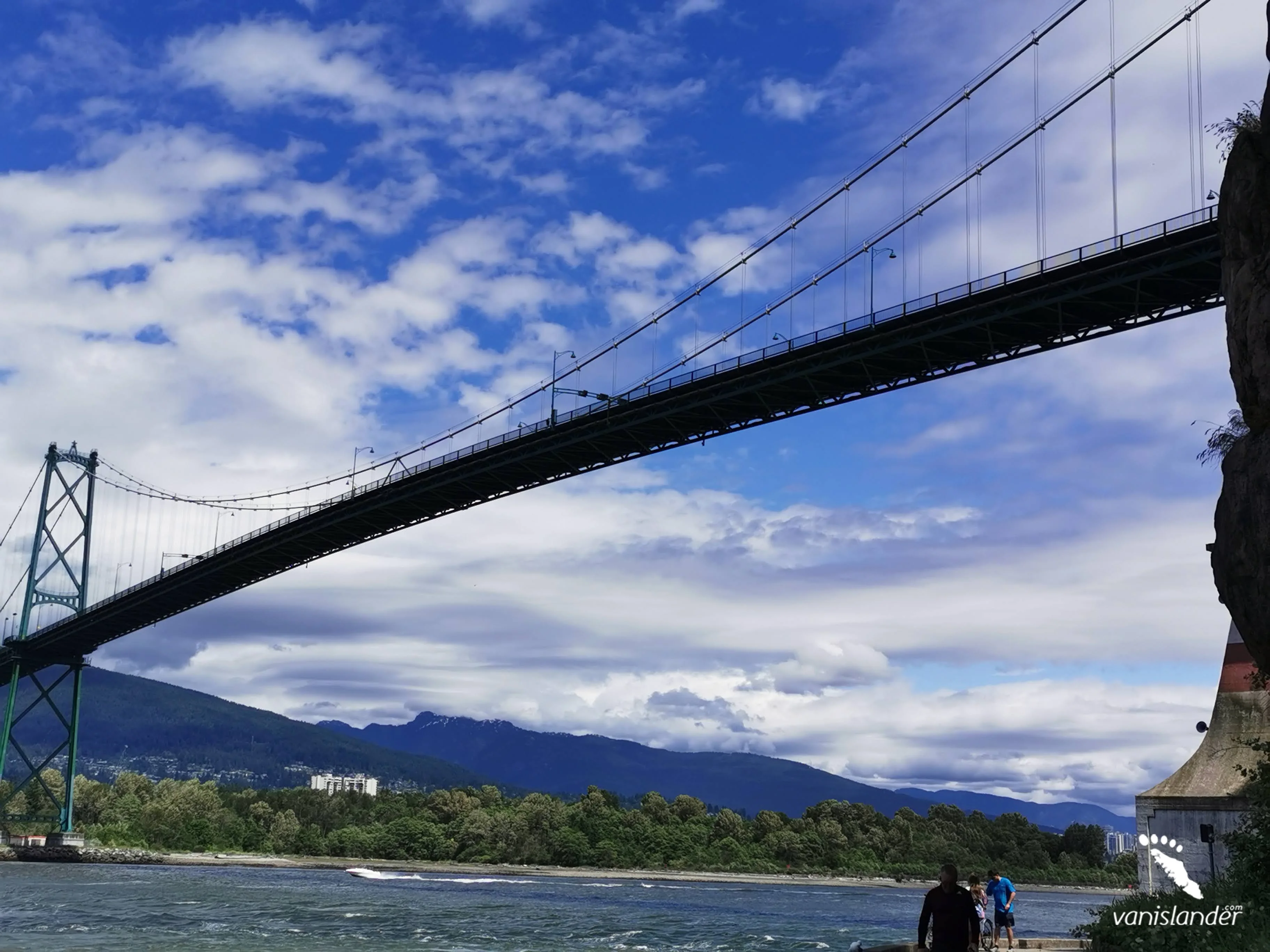  A 3 Day Whale Watching Tour On Vancouver Island