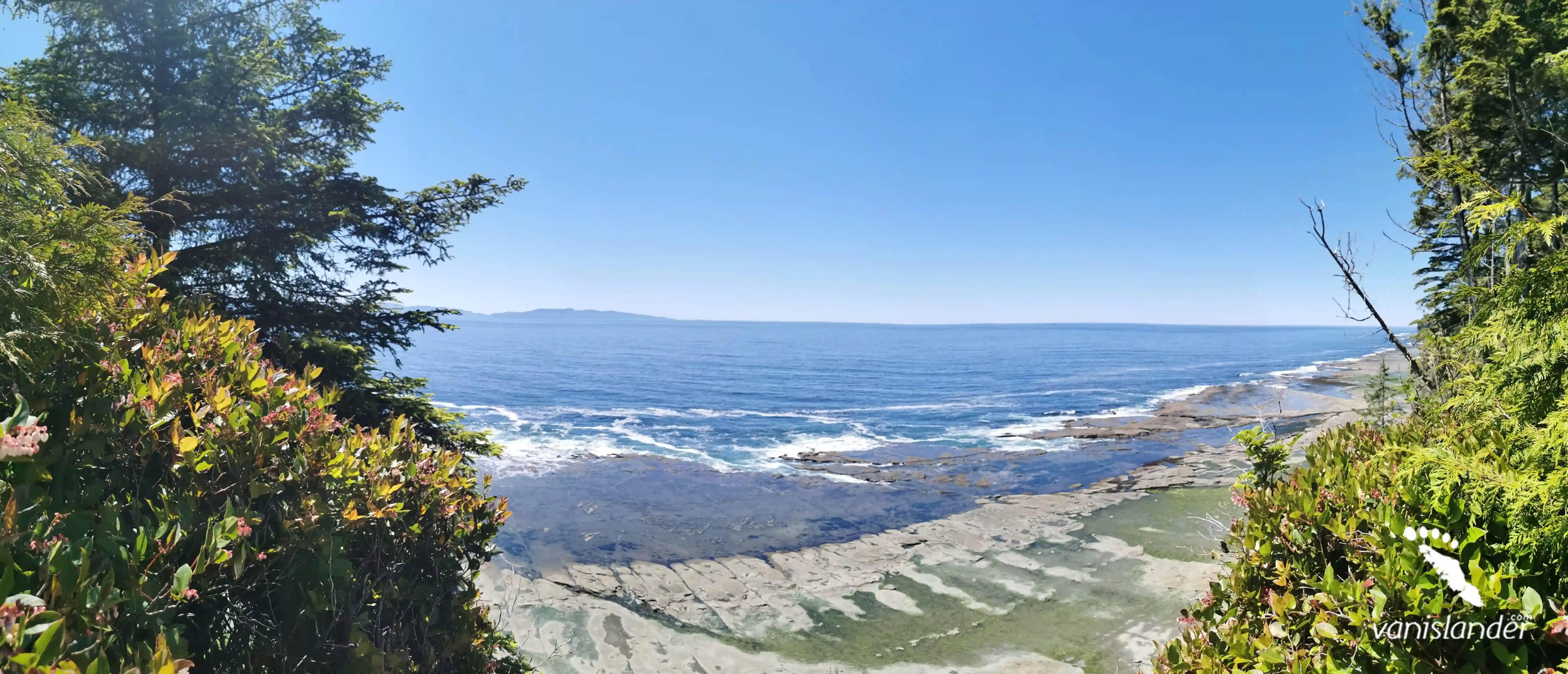 4-Day Wildlife Watching on Vancouver Island